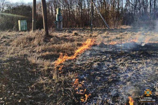На Тернопільщині масово спалюють суху траву: горять гектари полів, фото №2 на сайті 20minut.ua
