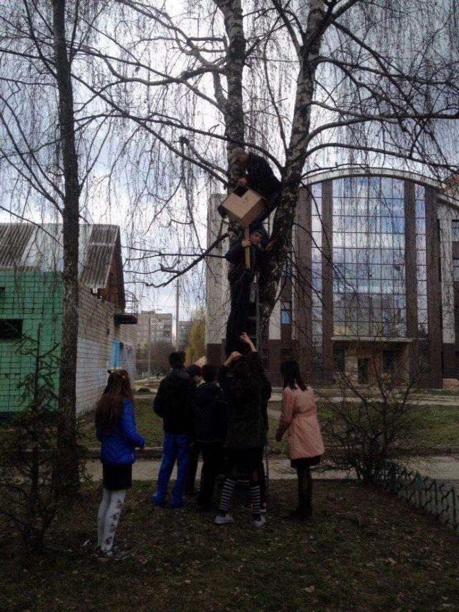 Новини Вінниці - фото з Юні вінничани зустрічали птахів: розвішували «квартири» у Лісопарку Юні вінничани зустрічали птахів: розвішували «квартири» у Лісопарку, фото №1 на сайті 20minut.ua