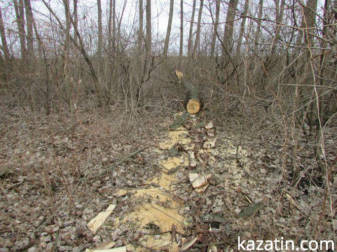 Місто сьогодні — сміття та ремонт по-козятинськи, фото №3 на сайті 20minut.ua