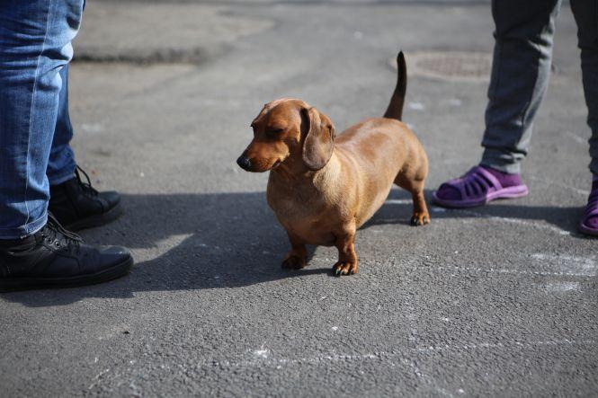 «У нас під домом військові снаряди». Що пам’ятають старожили будинку біля Вежі, фото №9 на сайті 20minut.ua