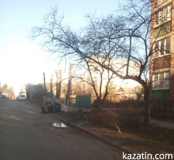 Новини Козятина - фото з Фоторепортаж Козятин-Вінниця — відмінності благоустрою Фоторепортаж Козятин-Вінниця — відмінності благоустрою, фото №4 на сайті 20minut.ua