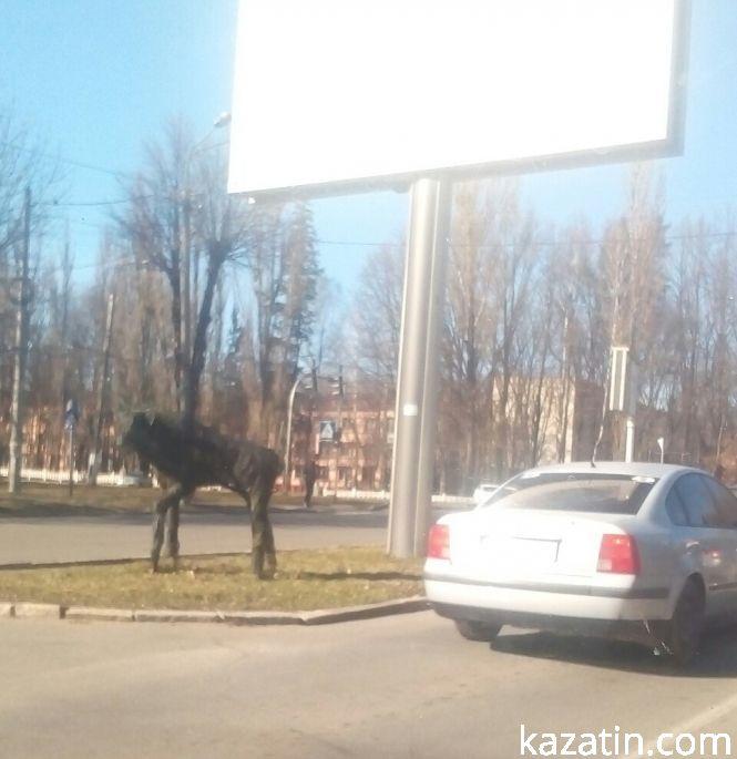 Новини Козятина - фото з Фоторепортаж Козятин-Вінниця — відмінності благоустрою Фоторепортаж Козятин-Вінниця — відмінності благоустрою, фото №25 на сайті 20minut.ua