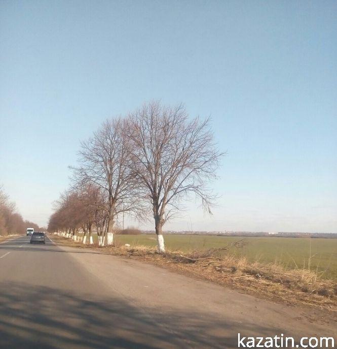 Новини Козятина - фото з Фоторепортаж Козятин-Вінниця — відмінності благоустрою Фоторепортаж Козятин-Вінниця — відмінності благоустрою, фото №11 на сайті 20minut.ua