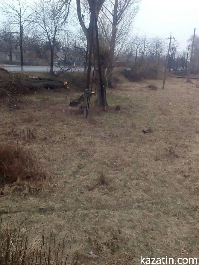 Новини Козятина - фото з В центрі міста розбили урну В центрі міста розбили урну, фото №5 на сайті 20minut.ua