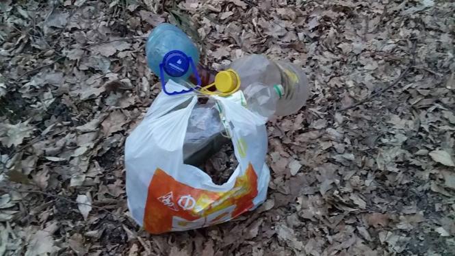 Новини Кам'янця-Подільського - фото з Волонтери Кам'янця поділилися першими результатами прибирання лісу (ФОТО) Волонтери Кам'янця поділилися першими результатами прибирання лісу (ФОТО), фото №1 на сайті 20minut.ua