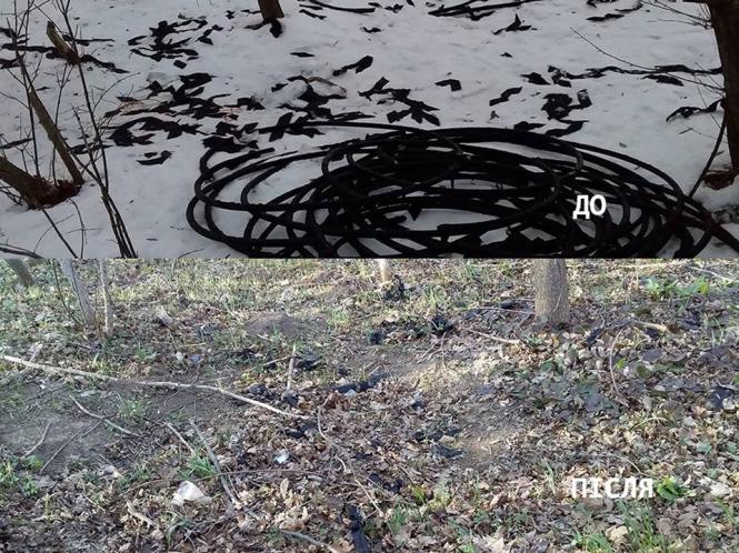 Новини Кам'янця-Подільського - фото з Волонтери Кам'янця поділилися першими результатами прибирання лісу (ФОТО) Волонтери Кам'янця поділилися першими результатами прибирання лісу (ФОТО), фото №5 на сайті 20minut.ua