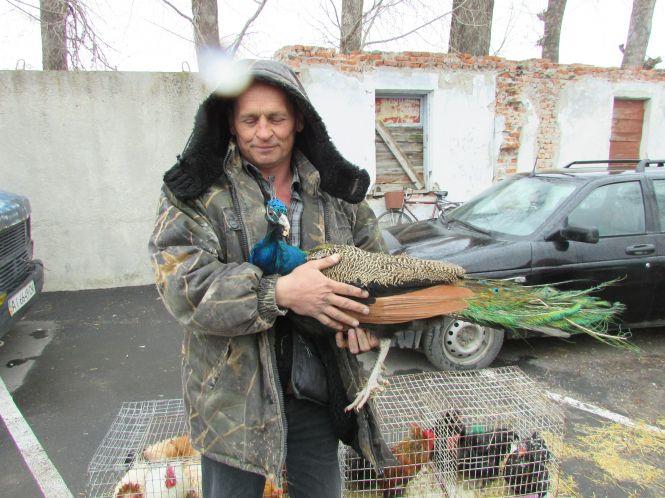 Кури, гуси і кролі: що привезли на продаж у Козятин?, фото №7 на сайті 20minut.ua