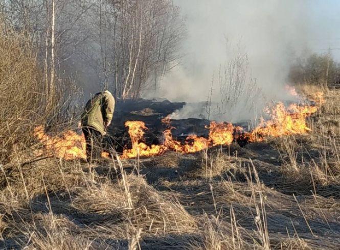 У Чуднівському районі господар спалював бур’ян і  ледь не спалив обійстя, фото №2 на сайті 20minut.ua