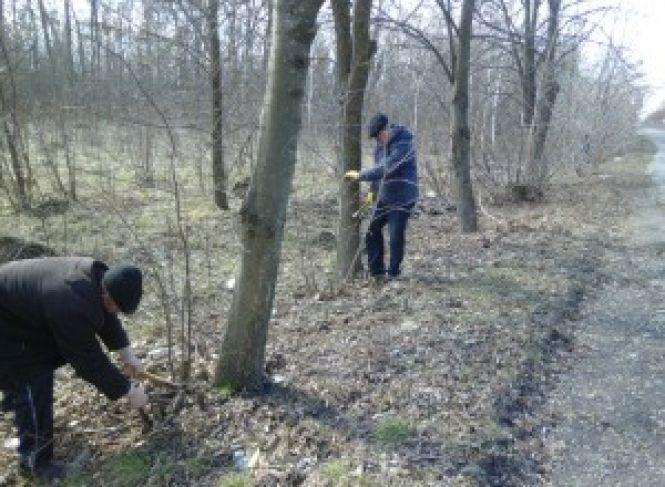 Новини Козятина - фото з Челендж з прибирання сміття: працівники автодору прибрали дороги на в'їздах у місто Челендж з прибирання сміття: працівники автодору прибрали дороги на в'їздах у місто, фото №1 на сайті 20minut.ua
