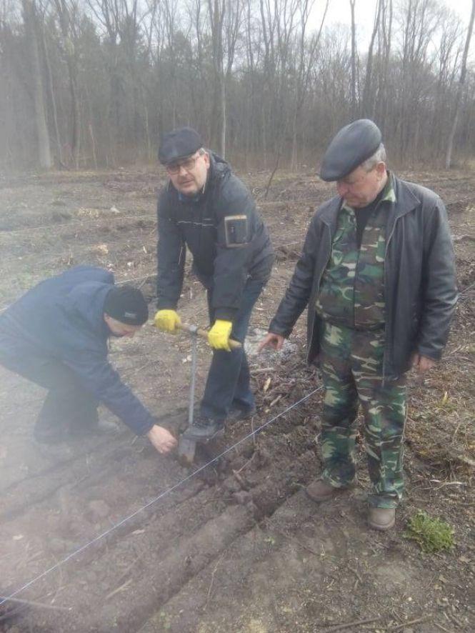 Новини Козятина - фото з Засадили модриною два гектари: на Козятинщині продовжуються акції з озеленення Засадили модриною два гектари: на Козятинщині продовжуються акції з озеленення, фото №1 на сайті 20minut.ua