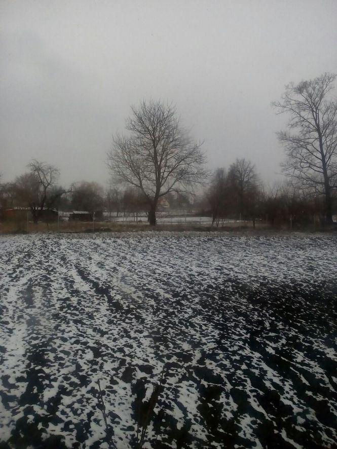 Сьогодні, 27 березня, Козятинщину припорошило снігом, фото №2 на сайті 20minut.ua