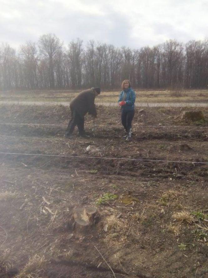 Новини Козятина - фото з Засадили модриною два гектари: на Козятинщині продовжуються акції з озеленення Засадили модриною два гектари: на Козятинщині продовжуються акції з озеленення, фото №2 на сайті 20minut.ua
