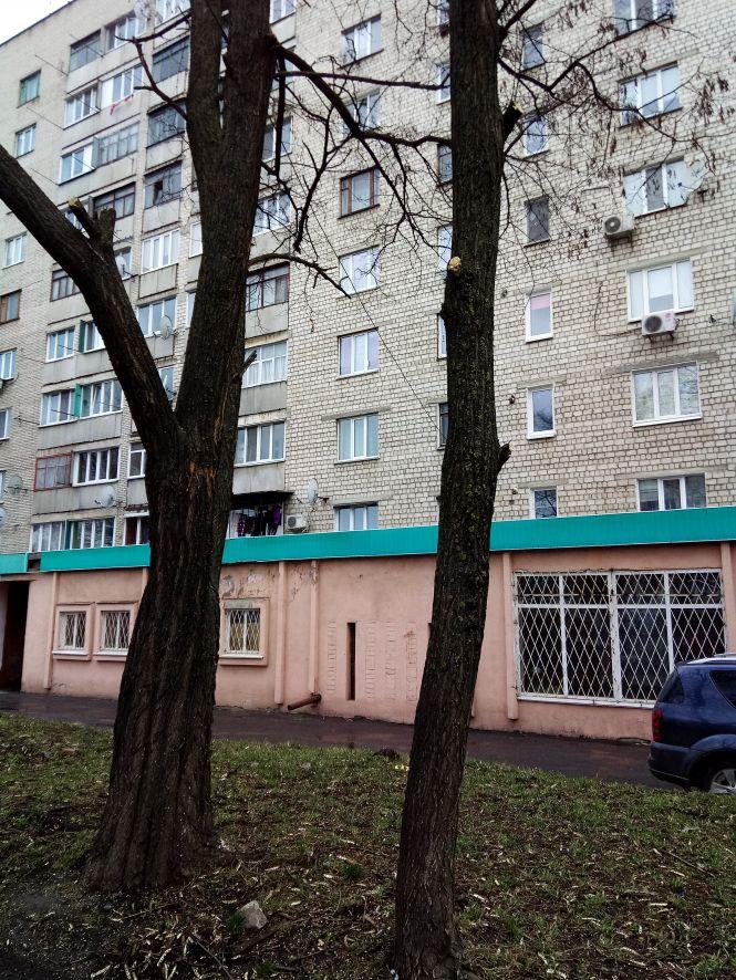 Гілка могла когось покалічити. Як RIA вирішила проблему з деревом, фото №2 на сайті 20minut.ua