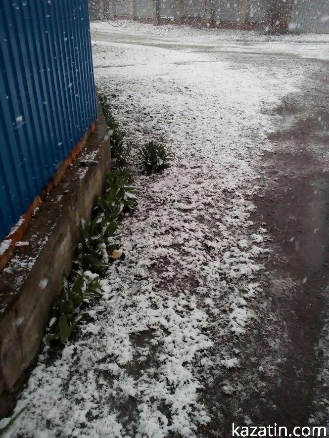 Березневий снігопад на Козятинщині, фото №4 на сайті 20minut.ua