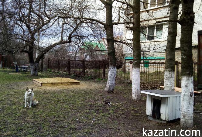 Про ОСББ і економію: історія одного Будинку, фото №3 на сайті 20minut.ua