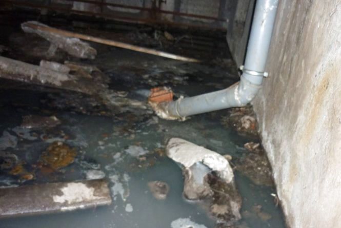 Новини Кам'янця-Подільського - фото з Події у Кам’янці-Подільському, які ви могли пропустити: ТОП - 5 новин Події у Кам’янці-Подільському, які ви могли пропустити: ТОП - 5 новин, фото №4 на сайті 20minut.ua