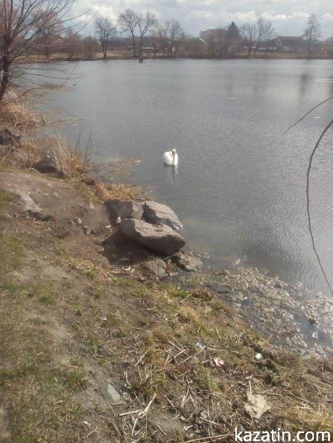 Новини Козятина - фото з Фото дня: вартові козятинського мосту Фото дня: вартові козятинського мосту, фото №2 на сайті 20minut.ua