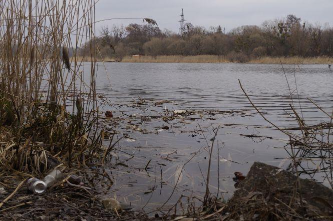 Новини Вінниці - фото з Розкішні маєтки, сміття та «жлобська» гойдалка:  Набережна від Сабарова до Ющенка Розкішні маєтки, сміття та «жлобська» гойдалка:  Набережна від Сабарова до Ющенка, фото №33 на сайті 20minut.ua