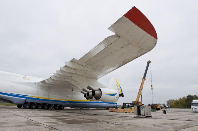 «Падаюча тінь “Мрії” на сади Джардіні»: шукають україських художників, фото №2 на сайті 20minut.ua