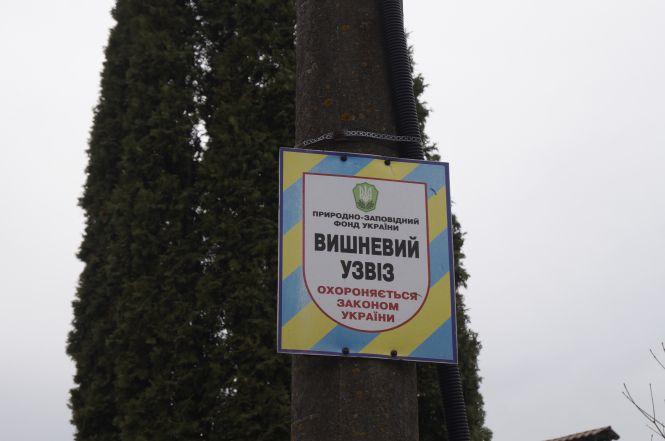 Новини Вінниці - фото з Розкішні маєтки, сміття та «жлобська» гойдалка:  Набережна від Сабарова до Ющенка Розкішні маєтки, сміття та «жлобська» гойдалка:  Набережна від Сабарова до Ющенка, фото №45 на сайті 20minut.ua