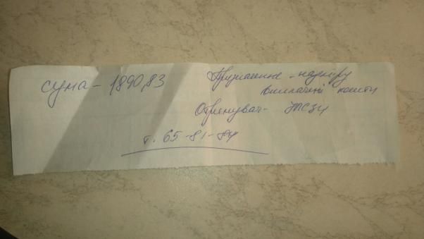 Не винна, а платити мусить: як багатодітна мама Наталія Ревякіна “попала” на гроші у соцзахисті, фото №3 на сайті vsim.ua