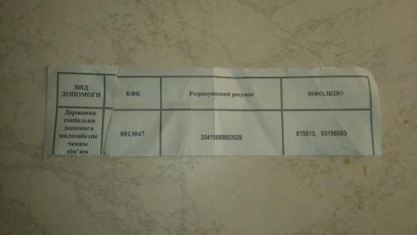 Не винна, а платити мусить: як багатодітна мама Наталія Ревякіна “попала” на гроші у соцзахисті, фото №2 на сайті vsim.ua