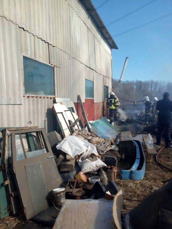 Новини Вінниці - фото з У Луці хтось підпалив траву: вогонь розповсюдився на СТО. Основні подробиці У Луці хтось підпалив траву: вогонь розповсюдився на СТО. Основні подробиці, фото №6 на сайті 20minut.ua