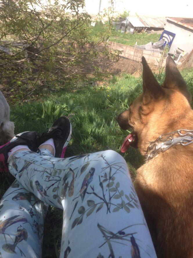 Новини Тернополя - фото з "Хтось викинув собаку, я забрала її додому": три історії про людей, які взяли тварин з вулиці "Хтось викинув собаку, я забрала її додому": три історії про людей, які взяли тварин з вулиці, фото №7 на сайті 20minut.ua