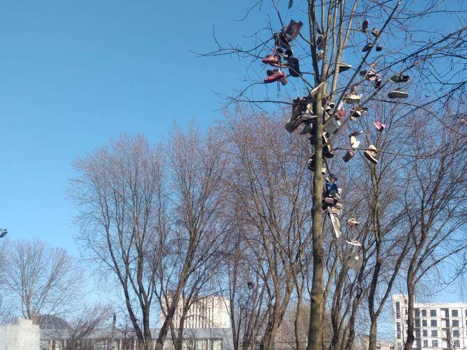 Хто розвішав кросівки на деревах у парку “Топільче”, фото №1 на сайті 20minut.ua