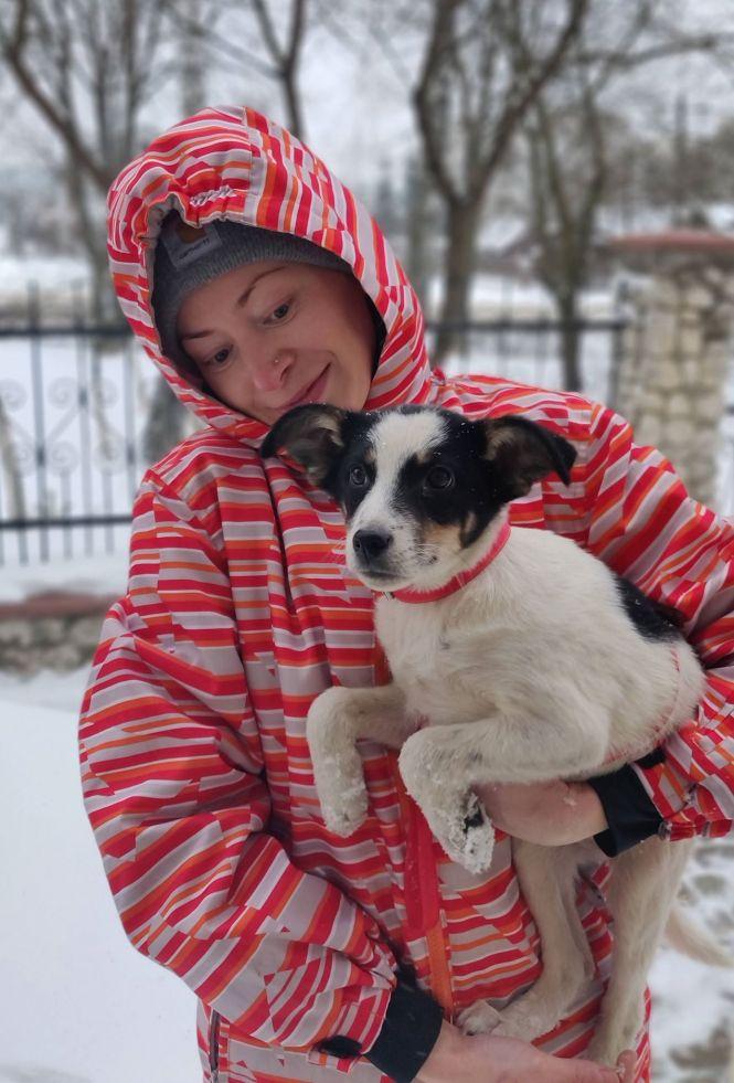 Новини Тернополя - фото з "Хтось викинув собаку, я забрала її додому": три історії про людей, які взяли тварин з вулиці "Хтось викинув собаку, я забрала її додому": три історії про людей, які взяли тварин з вулиці, фото №4 на сайті 20minut.ua