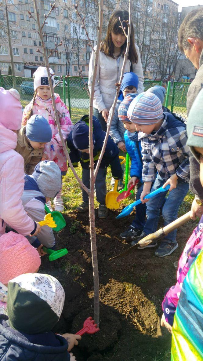 Новини Тернополя - фото з Фото дня: випускники подарували дитсадку японську сакуру Фото дня: випускники подарували дитсадку японську сакуру, фото №2 на сайті 20minut.ua