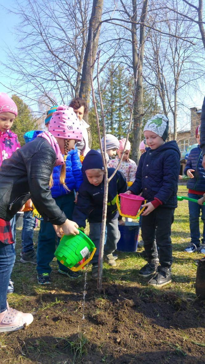 Новини Тернополя - фото з Фото дня: випускники подарували дитсадку японську сакуру Фото дня: випускники подарували дитсадку японську сакуру, фото №1 на сайті 20minut.ua
