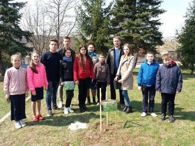 У Заліщиках висадили екзотичні тюльпанові дерева, фото №1 на сайті 20minut.ua