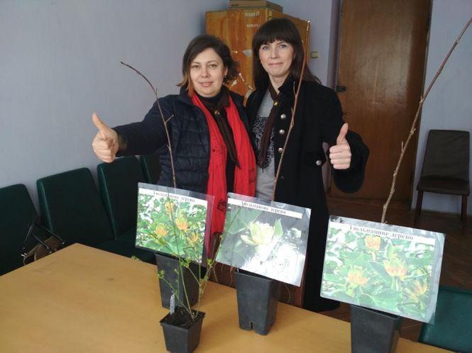 У Заліщиках висадили екзотичні тюльпанові дерева, фото №4 на сайті 20minut.ua