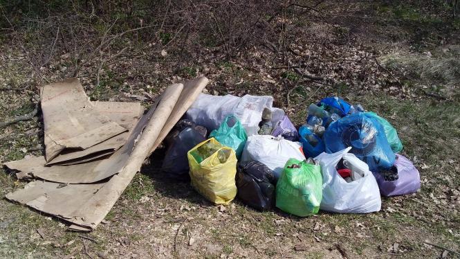 Новини Кам'янця-Подільського - фото з Вихідні з користю – боротьба кам’янчан за чистоту у лісі Вихідні з користю – боротьба кам’янчан за чистоту у лісі, фото №4 на сайті 20minut.ua