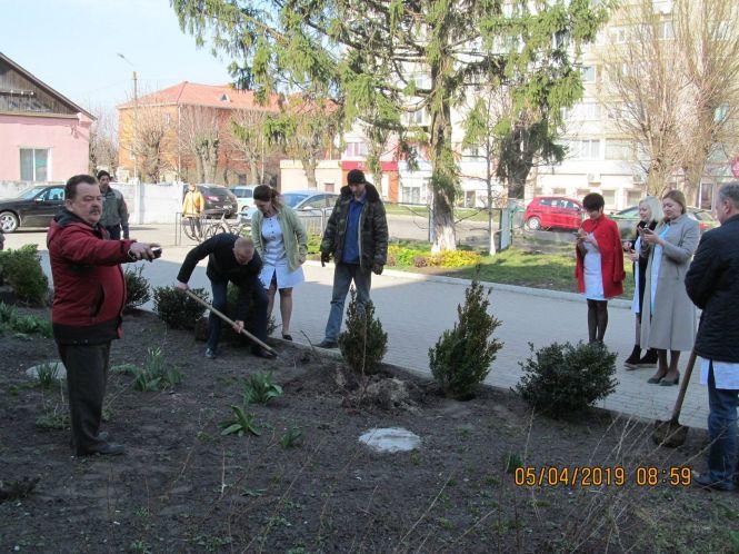 Новини Козятина - фото з І людей лікувати, і туї саджати... І людей лікувати, і туї саджати..., фото №2 на сайті 20minut.ua
