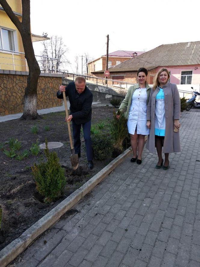 Новини Козятина - фото з І людей лікувати, і туї саджати... І людей лікувати, і туї саджати..., фото №7 на сайті 20minut.ua