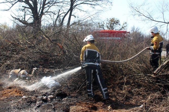 Багато диму. За день на Хмельниччині згоріло 22 гектари землі, фото №1 на сайті vsim.ua