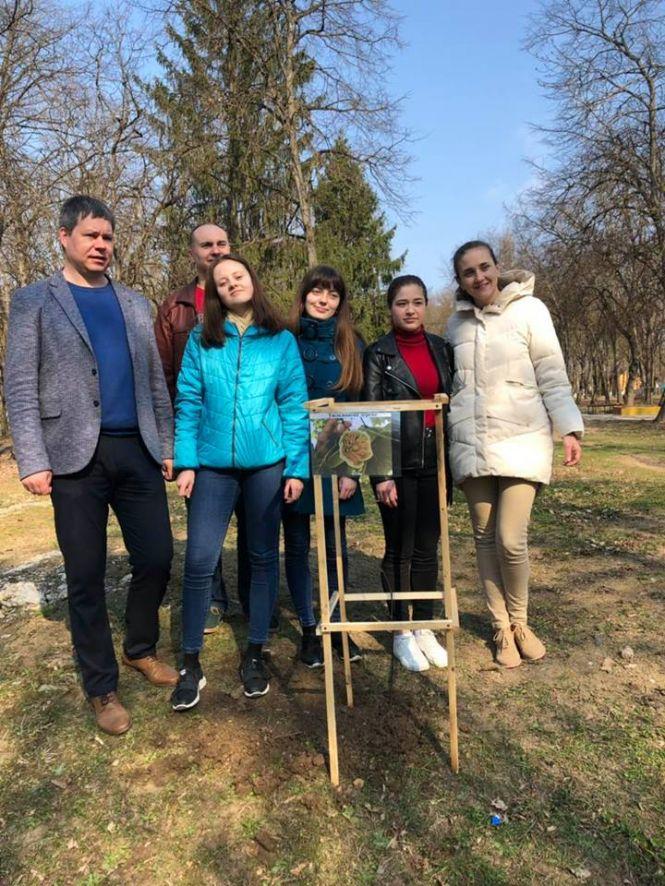 У Заліщиках висадили екзотичні тюльпанові дерева, фото №2 на сайті 20minut.ua