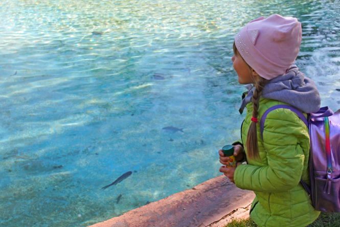 Події у Кам’янці-Подільському, які ви могли пропустити: ТОП - 5 новин, фото №2 на сайті 20minut.ua