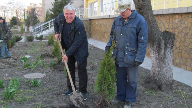 Новини Козятина - фото з І людей лікувати, і туї саджати... І людей лікувати, і туї саджати..., фото №4 на сайті 20minut.ua