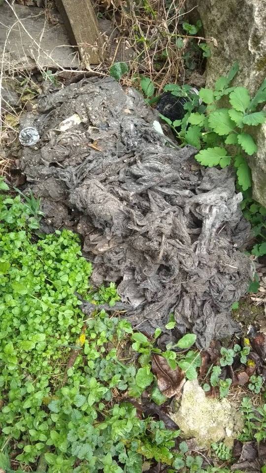 Новини Кам'янця-Подільського - фото з Про відходи кам’янчан та закупорку каналізації Про відходи кам’янчан та закупорку каналізації, фото №1 на сайті 20minut.ua