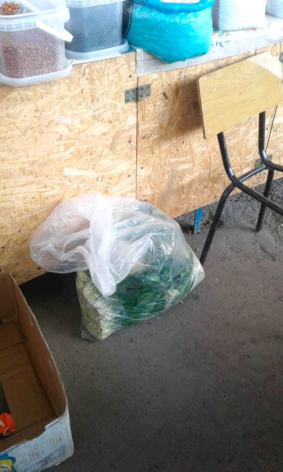 Новини Кам'янця-Подільського - фото з Поліцейські Кам'янця виявили продаж червонокнижної рослини Поліцейські Кам'янця виявили продаж червонокнижної рослини, фото №1 на сайті 20minut.ua