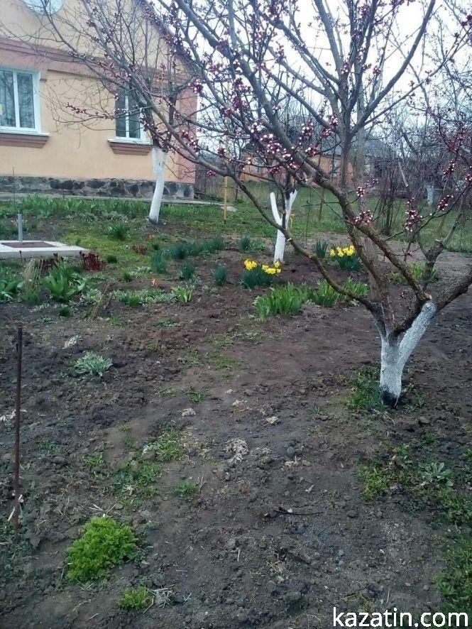 Фото дня: благоустрій територій та весняні квіти, фото №3 на сайті 20minut.ua