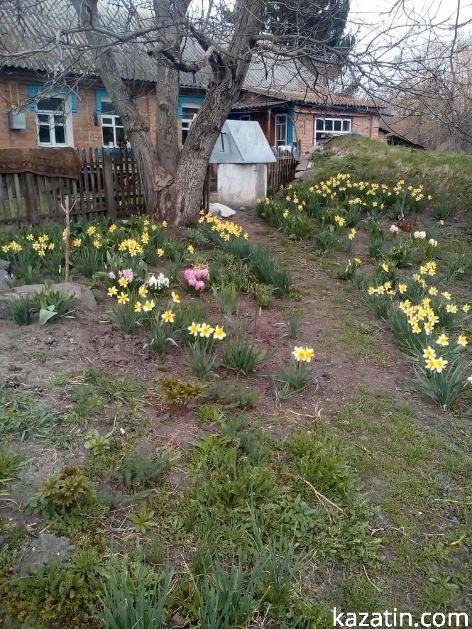 Фото дня: благоустрій територій та весняні квіти, фото №4 на сайті 20minut.ua