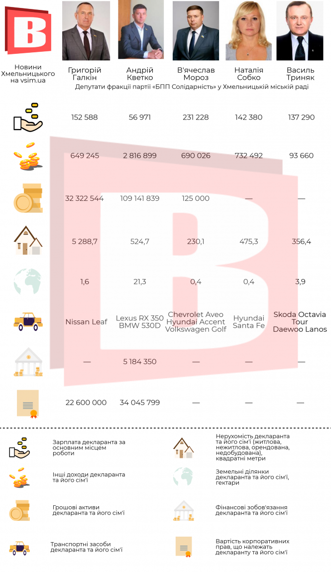 Що в декларації хмельницького депутата: чим багаті обранці від партії «БПП Солідарність» (ІНФОГРАФІКА), фото №1 на сайті vsim.ua