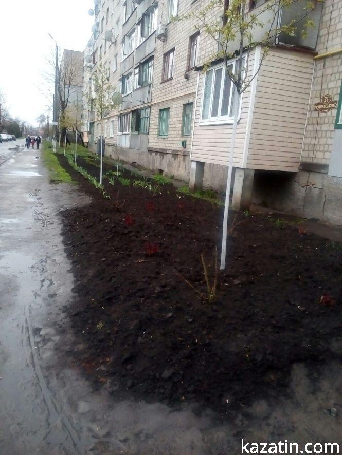 Такий Козятин сьогодні: цвітуть абрикоси, фото №8 на сайті 20minut.ua