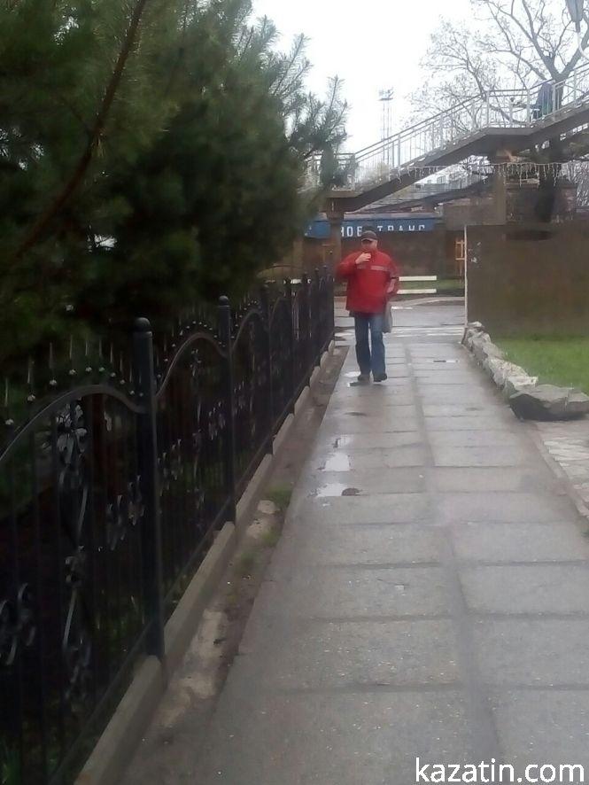 Такий Козятин сьогодні: цвітуть абрикоси, фото №3 на сайті 20minut.ua