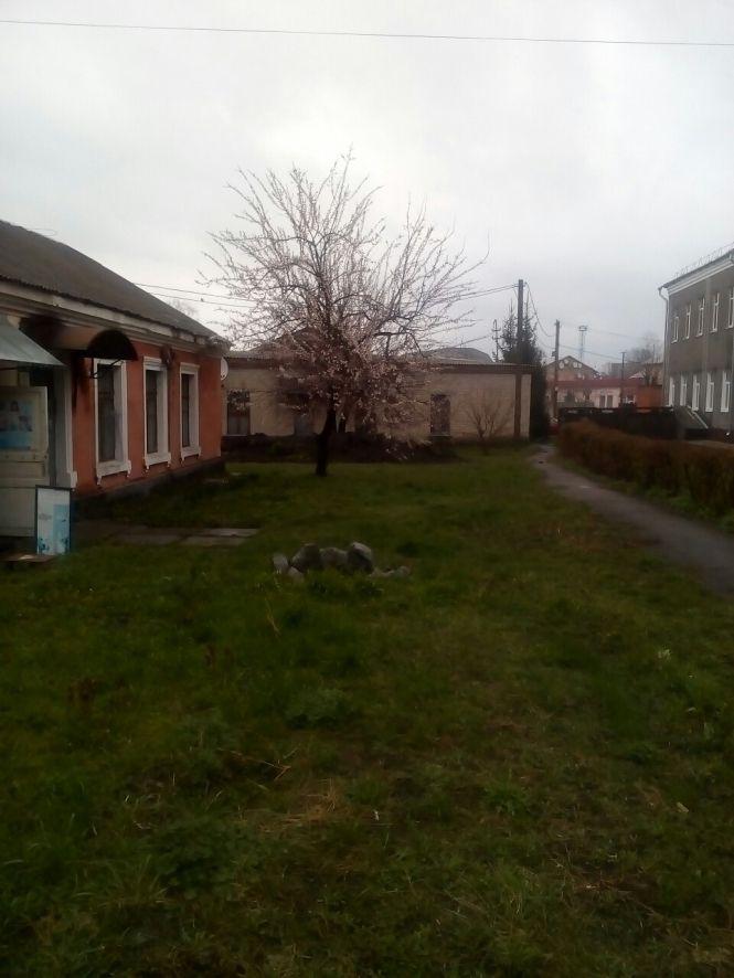 Такий Козятин сьогодні: цвітуть абрикоси, фото №7 на сайті 20minut.ua