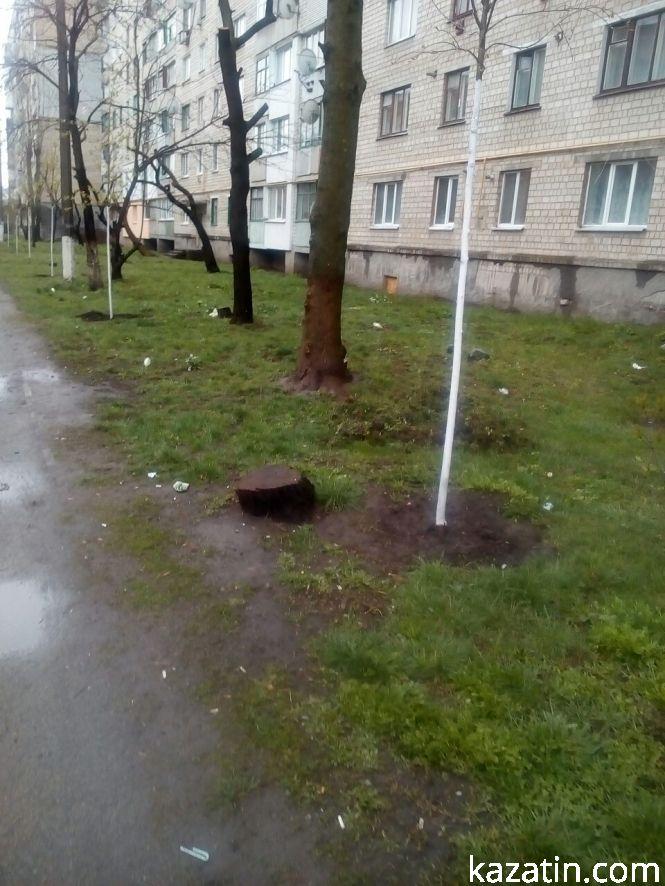 Такий Козятин сьогодні: цвітуть абрикоси, фото №5 на сайті 20minut.ua